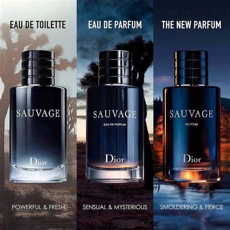 eterniy air for men vs dior savauge|Dior sauvage perfume vs occasion.